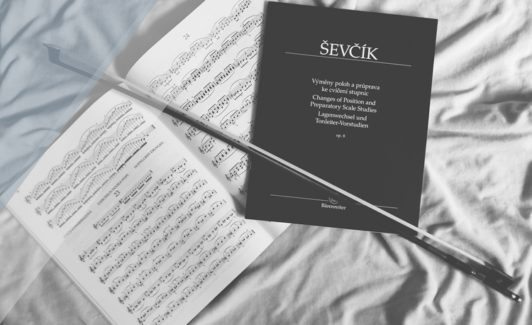 Brauchen Sie Notenkenntnisse?